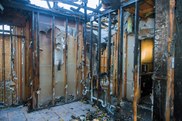 Professional Smoke Damage Removal technician working in West Livingston, TX